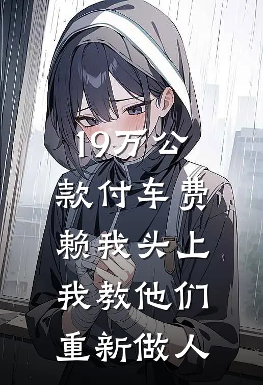 19万公款付车费赖我头上，我教他们重新做人