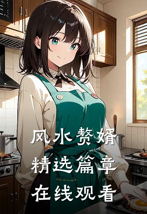 风水赘婿精选篇章在线观看