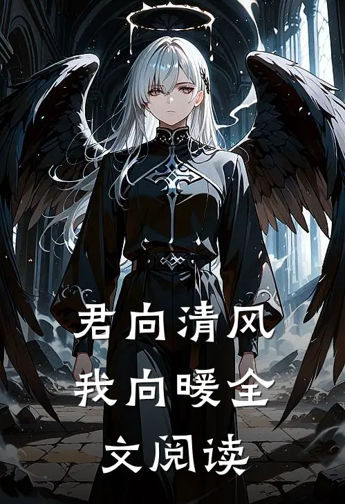 君向清风我向暖全文阅读
