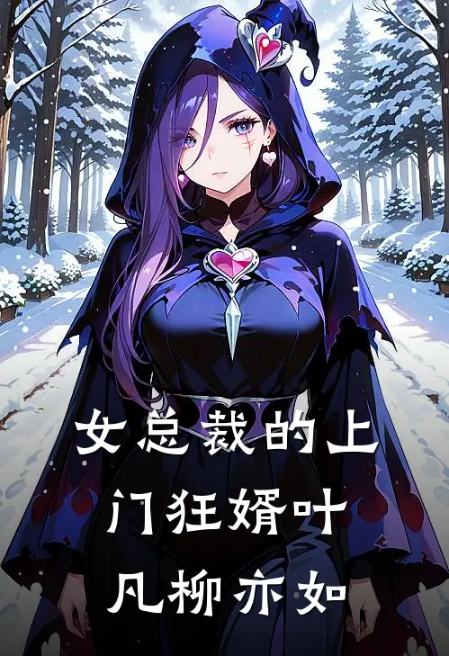 女总裁的上门狂婿叶凡柳亦如