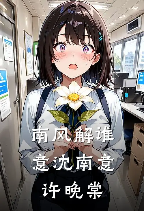 南风解谁意沈南意许晚棠