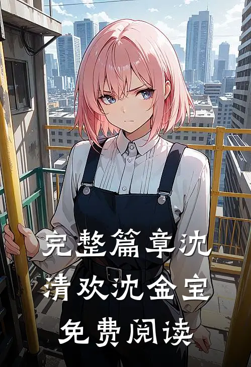 完整篇章沈清欢沈金宝免费阅读