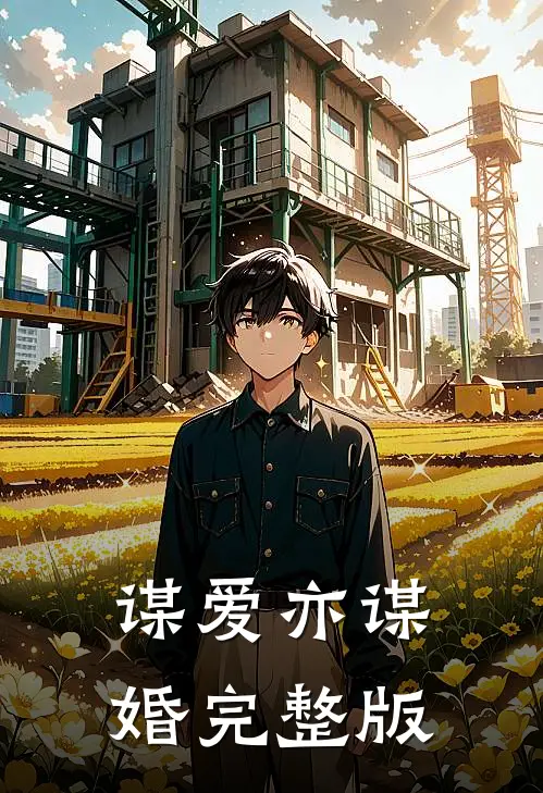 谋爱亦谋婚完整版