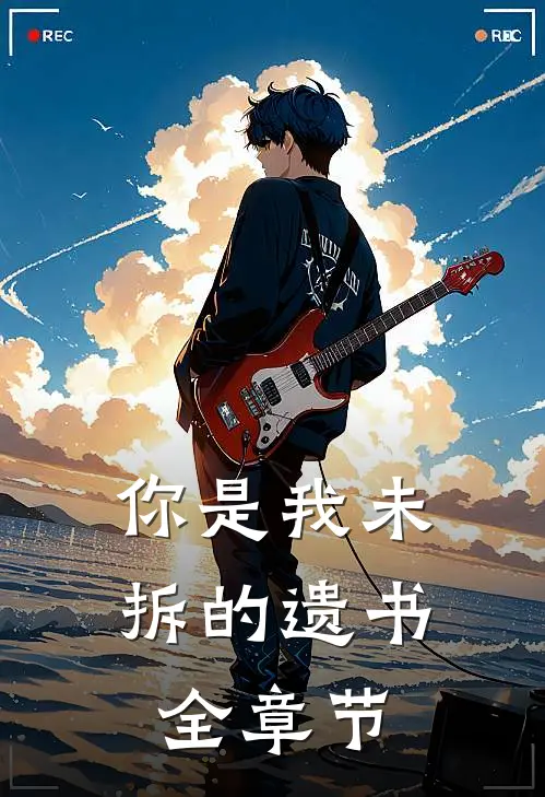你是我未拆的遗书全章节