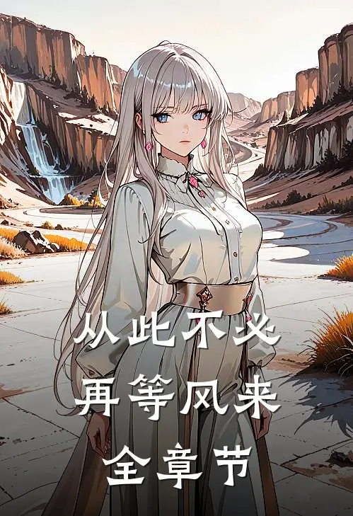 从此不必再等风来全章节