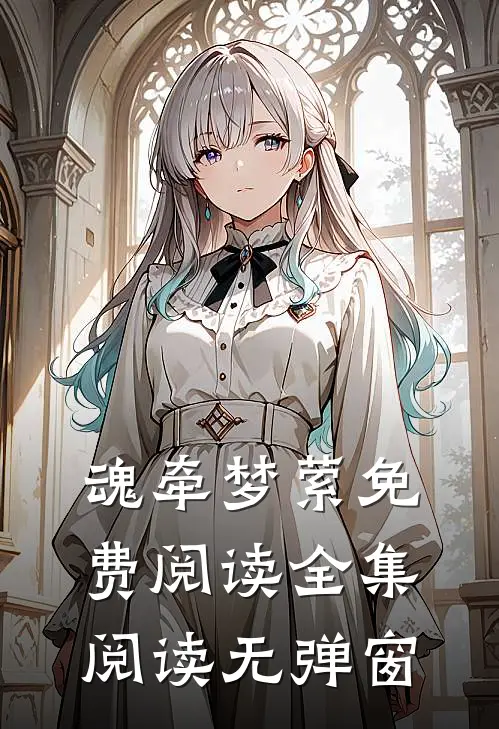 魂牵梦萦免费阅读全集阅读无弹窗