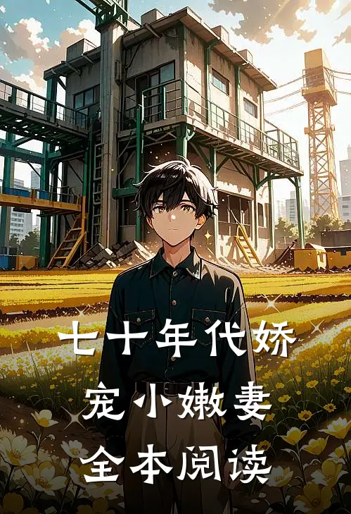 七十年代娇宠小嫩妻全本阅读