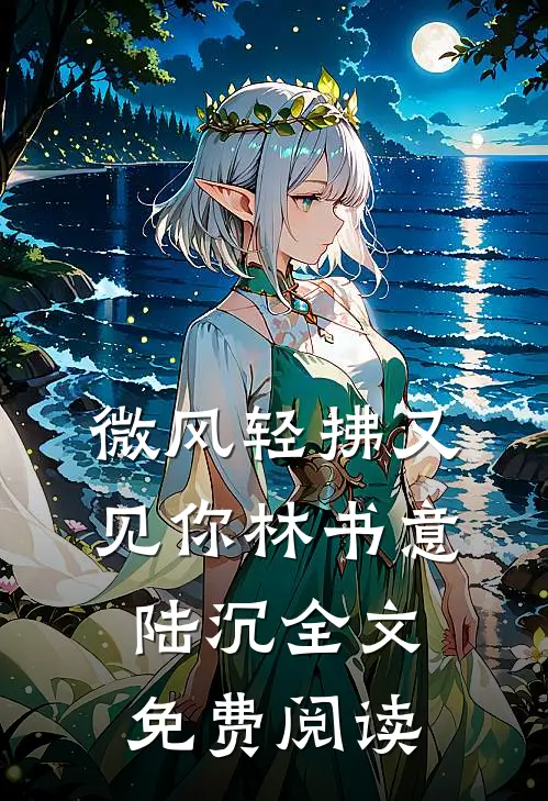 微风轻拂又见你林书意陆沉全文免费阅读