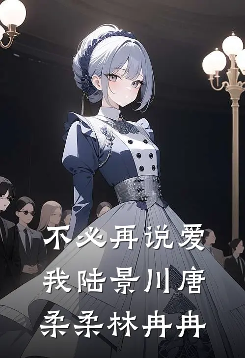 不必再说爱我陆景川唐柔柔林冉冉