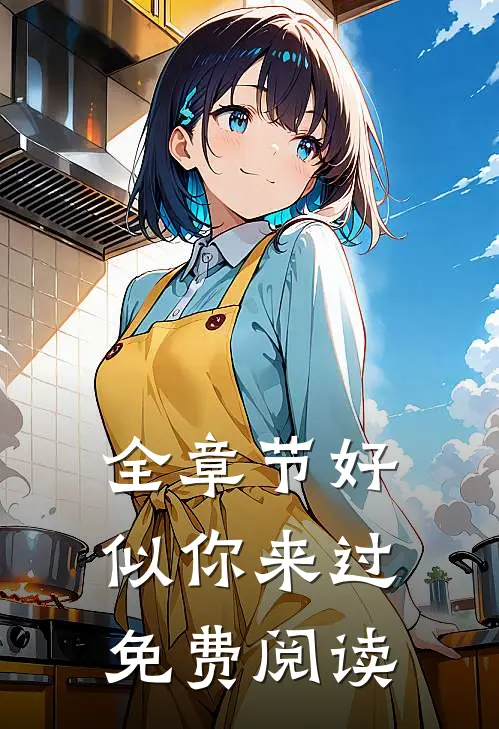 全章节好似你来过免费阅读