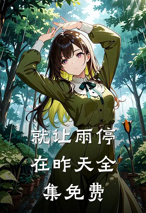 就让雨停在昨天全集免费
