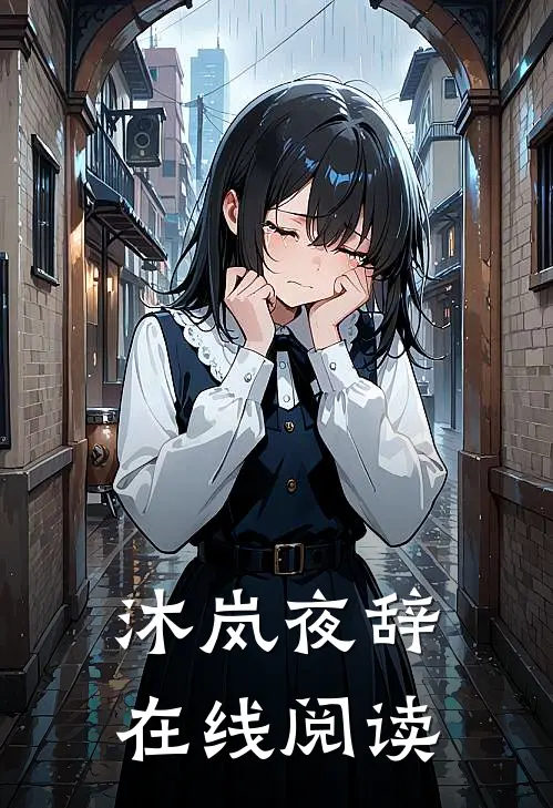 沐岚夜辞在线阅读