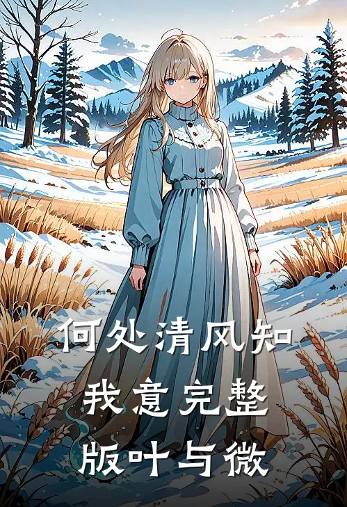 何处清风知我意完整版叶与微