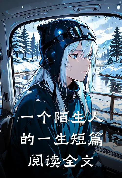 一个陌生人的一生短篇阅读全文