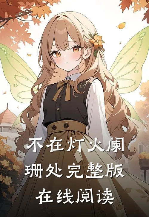 不在灯火阑珊处完整版在线阅读