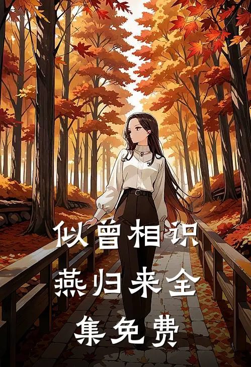 似曾相识燕归来全集免费