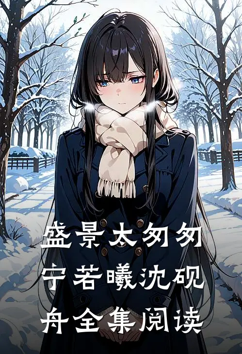 盛景太匆匆宁若曦沈砚舟全集阅读