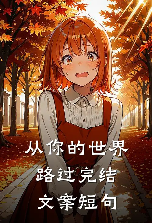 从你的世界路过完结文案短句
