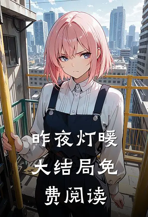 昨夜灯暖大结局免费阅读