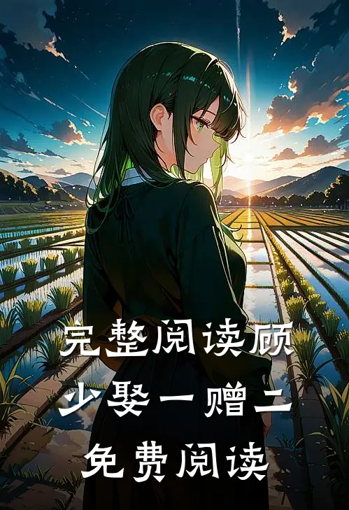 完整阅读顾少娶一赠二免费阅读