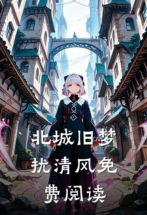 北城旧梦扰清风免费阅读