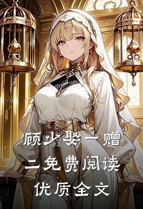 顾少娶一赠二免费阅读优质全文