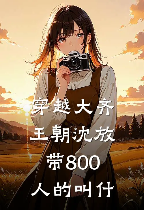 穿越大齐王朝沈放带800人的叫什