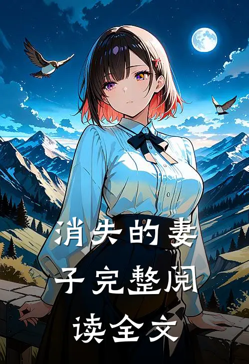 消失的妻子完整阅读全文