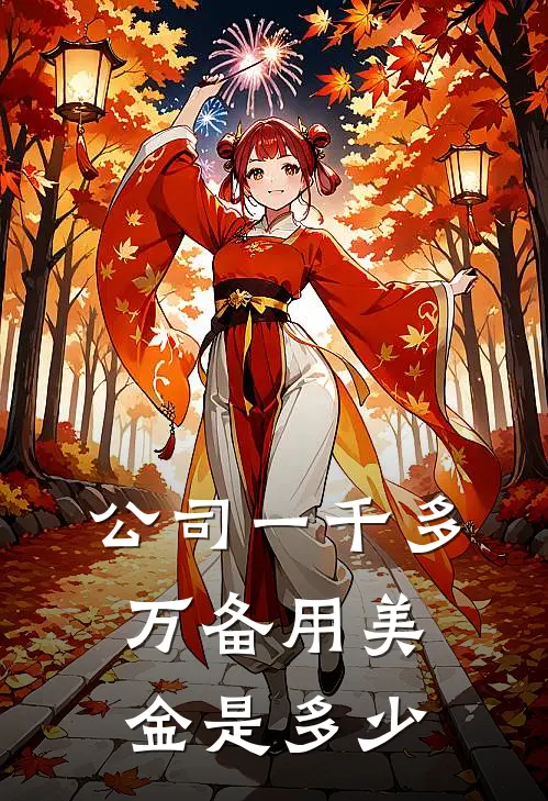 公司一千多万备用美金是多少