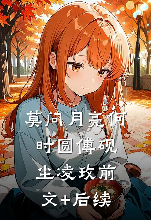 莫问月亮何时圆傅砚尘凌玫前文+后续