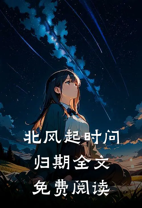 北风起时问归期全文免费阅读
