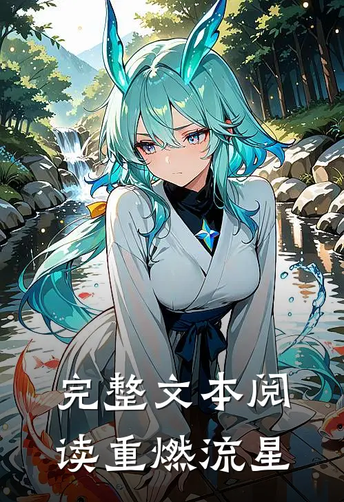 完整文本阅读重燃流星