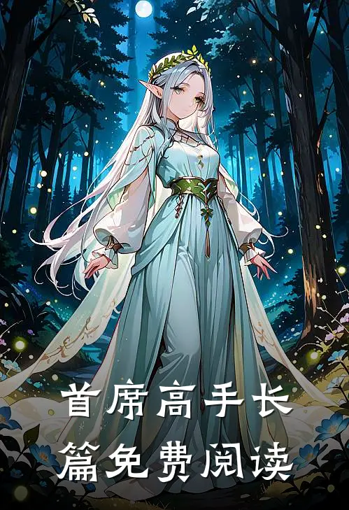 首席高手长篇免费阅读