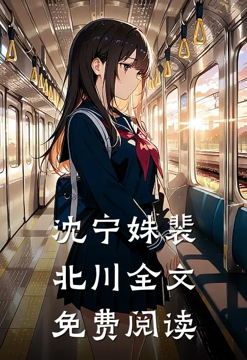 沈宁姝裴北川全文免费阅读