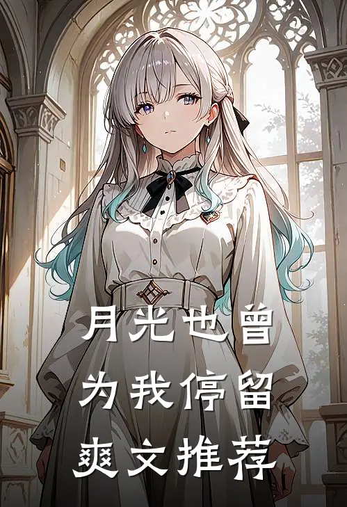 月光也曾为我停留爽文推荐