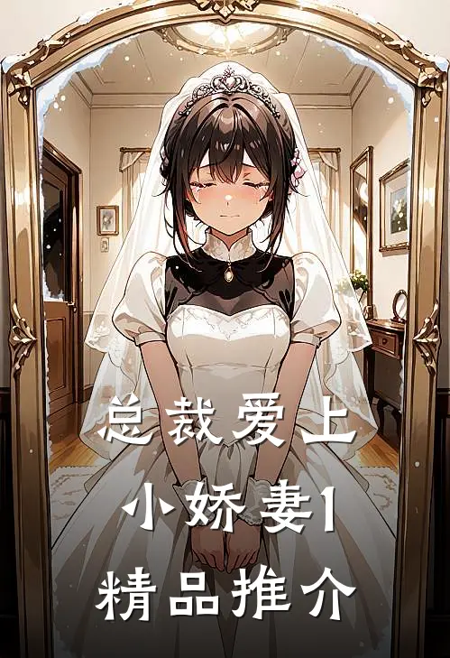 总裁爱上小娇妻1精品推介