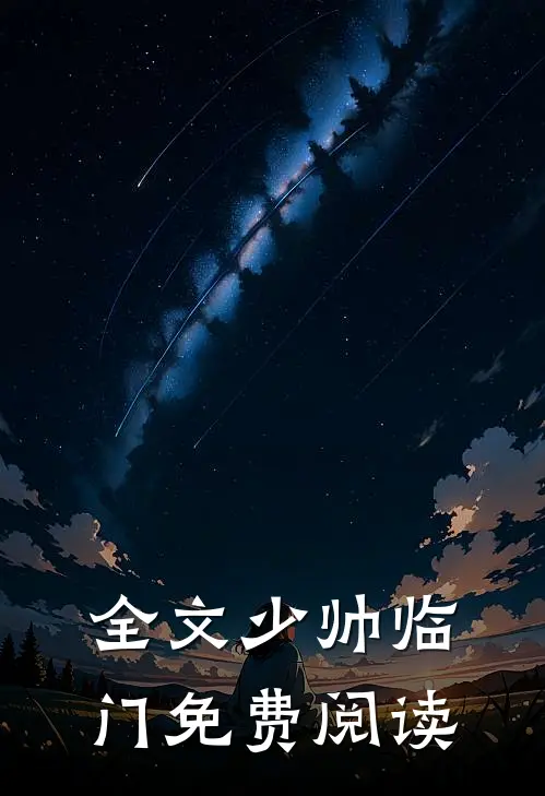 全文少帅临门免费阅读