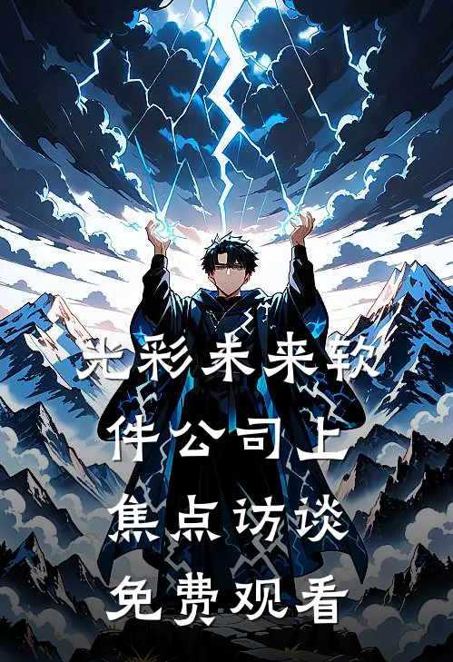 光彩未来软件公司上焦点访谈免费观看
