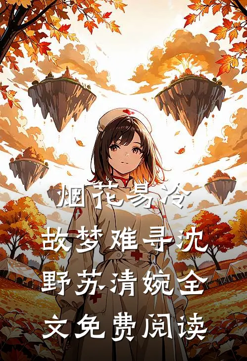 烟花易冷，故梦难寻沈野苏清婉全文免费阅读