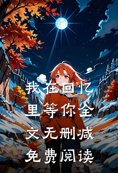 我在回忆里等你全文无删减免费阅读