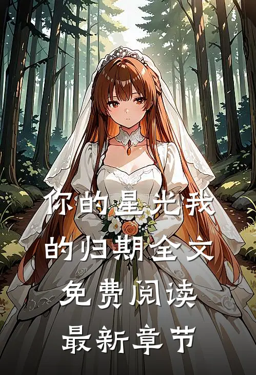 你的星光我的归期全文免费阅读最新章节