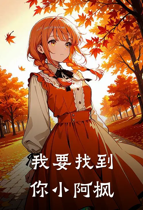 我要找到你小阿枫