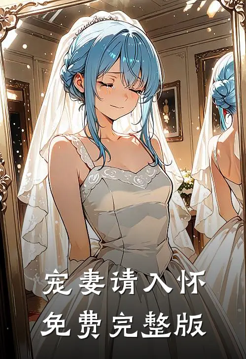宠妻请入怀免费完整版