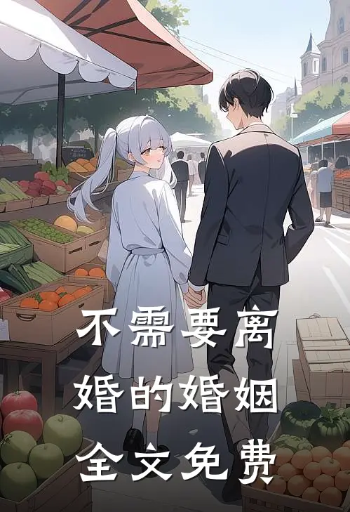 不需要离婚的婚姻全文免费