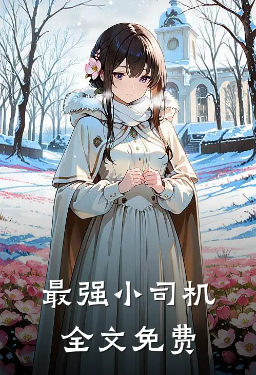 最强小司机全文免费