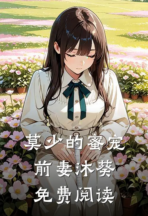 莫少的蜜宠前妻沐葵免费阅读