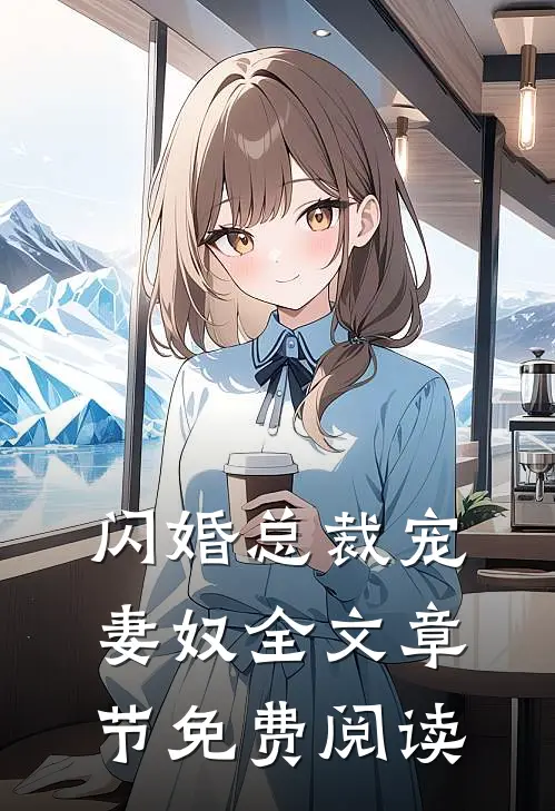闪婚总裁宠妻奴全文章节免费阅读