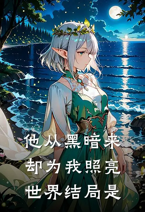 他从黑暗来却为我照亮世界结局是