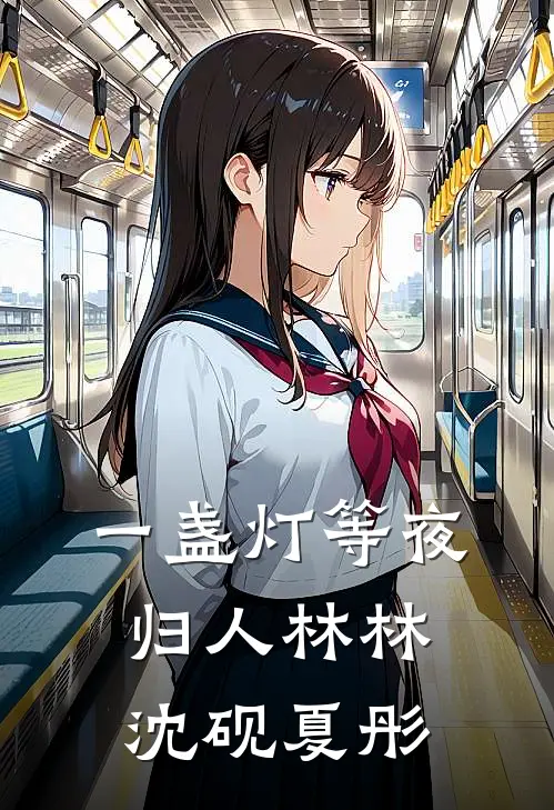 一盏灯等夜归人林林沈砚夏彤