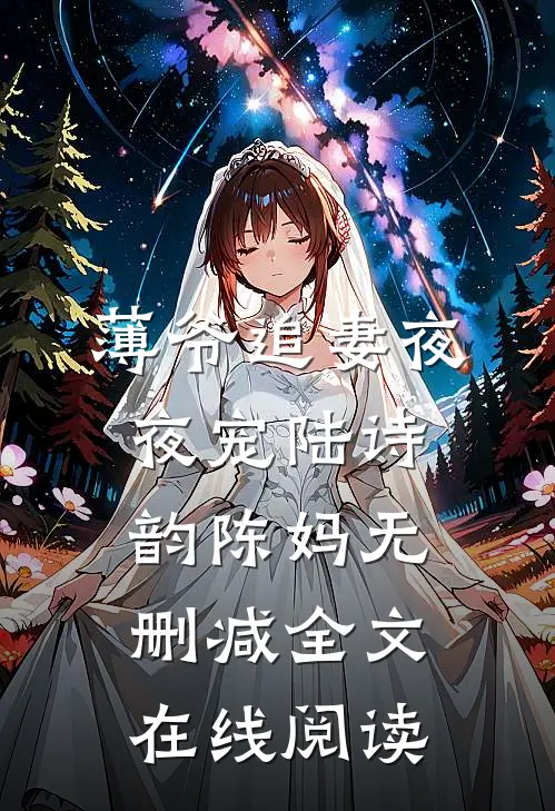 薄爷追妻夜夜宠陆诗韵陈妈无删减全文在线阅读